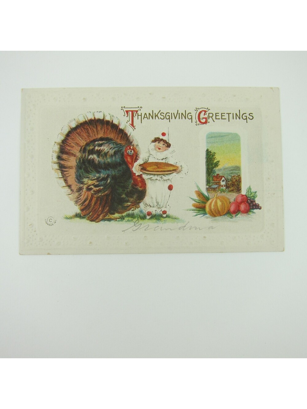 Thanksgiving Postcard Wild Turkey Clown Pie Harvest Fruit Embossed Antique 1911